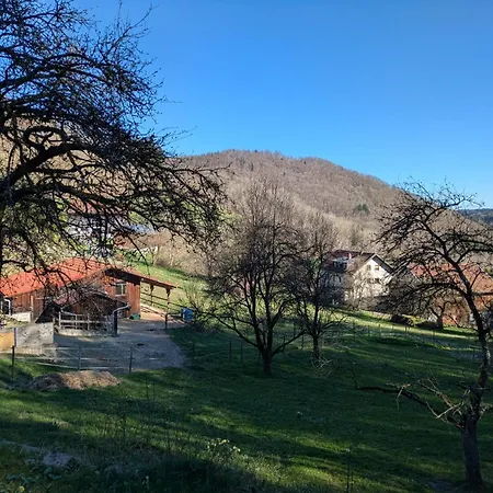 Haus Baernstein Appartement *